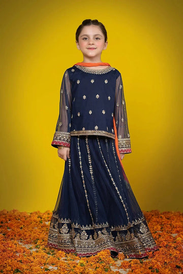 Kids Indian and Pakistan wedding dress - Aarrzo