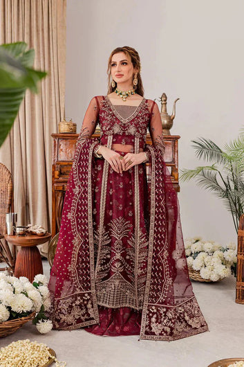 Pakistan and indian wedding collection 2024