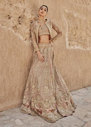 Pakistan and Indian wedding dress 2023