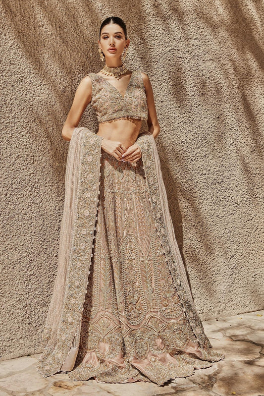 Pakistan and Indian wedding dress 2023