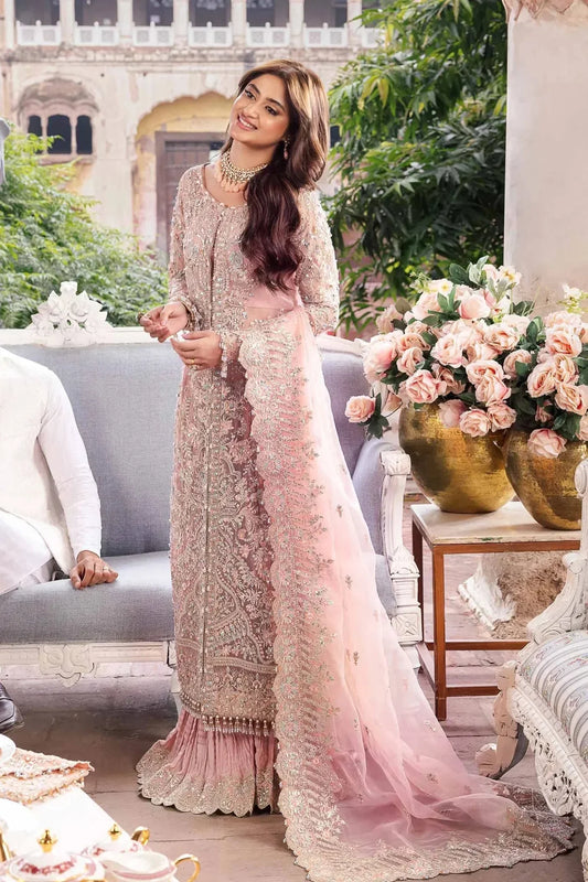 Pakistan and Indian wedding Dress