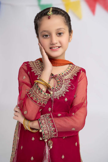 Pakistan and Indian wedding dress for kids.